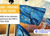Pastille réseaux sociaux - Etude Visions PME UE 2030